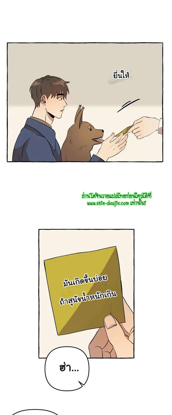 Samsam-ine House EP 6